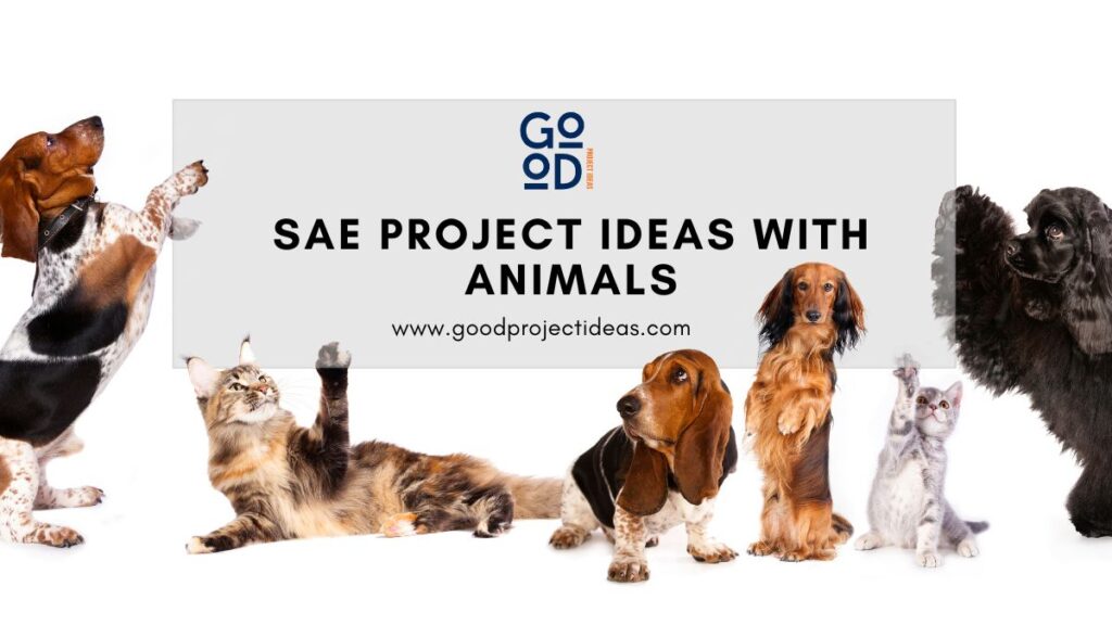 SAE Project Ideas With Animals