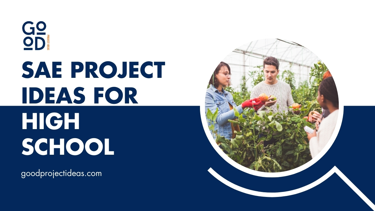 119+ Best SAE Project Ideas for High School: Hydroponic Harvest