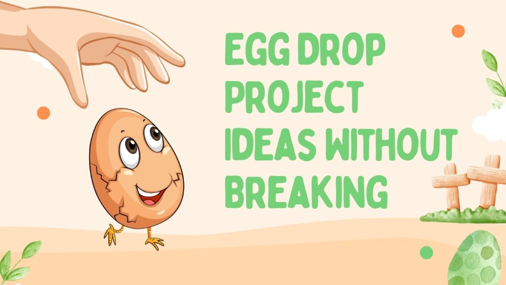 Egg Drop Project Ideas Without Breaking