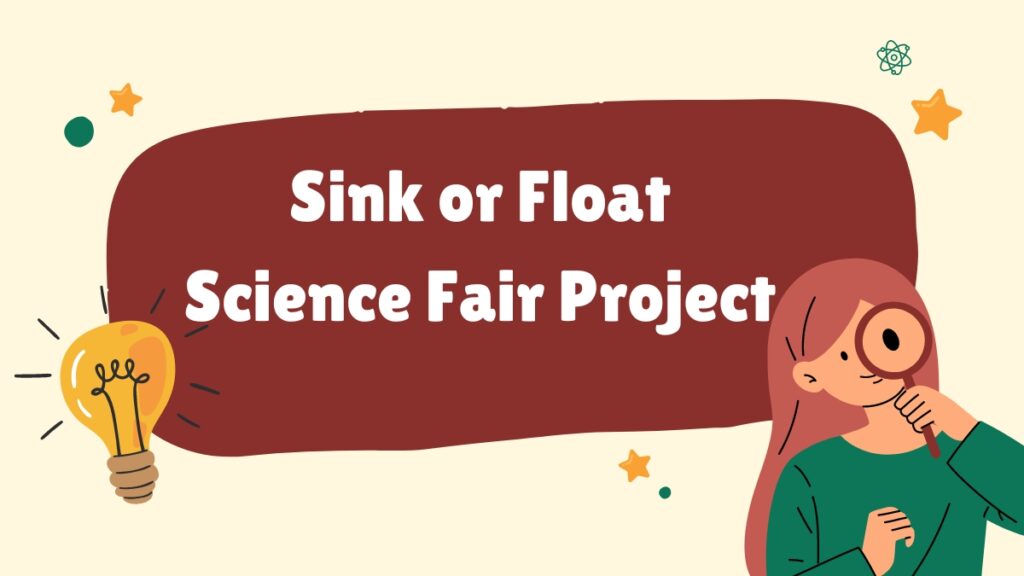 Sink or Float Science Fair Project