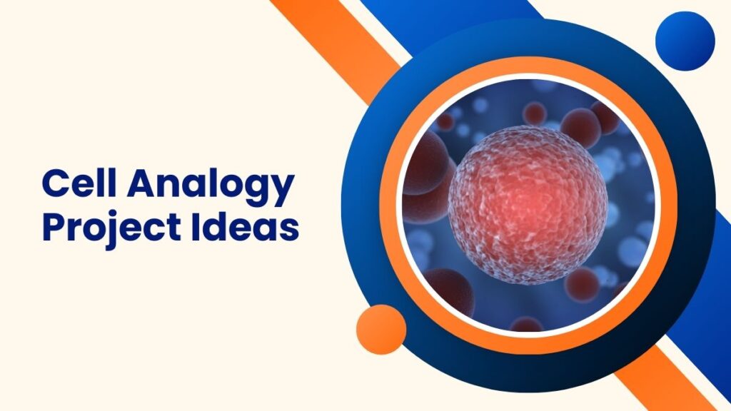 Cell Analogy Project Ideas