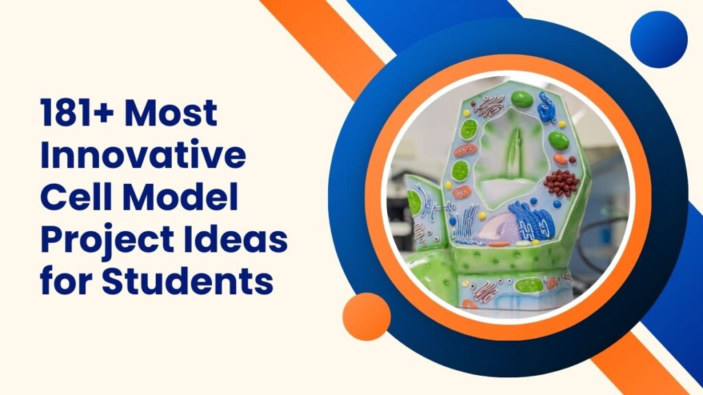 Cell Model Project Ideas