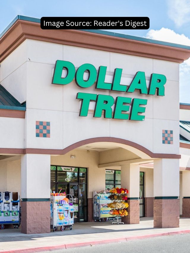 9 Exciting New Dollar Tree Arrivals in November to Save Big